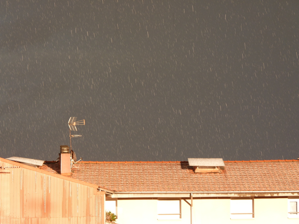 No s'ha trobat l'arxiu